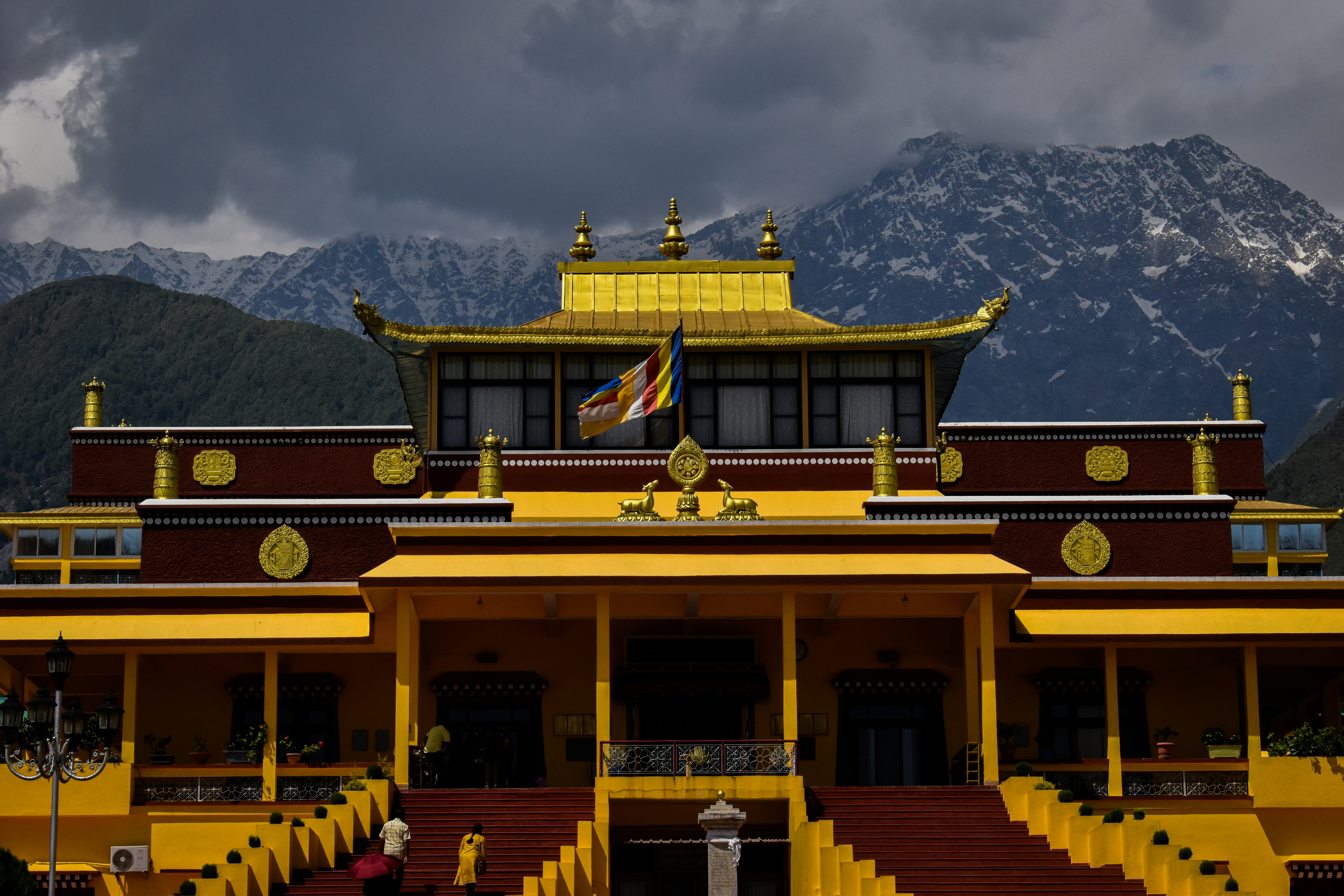 Dharamshala View
