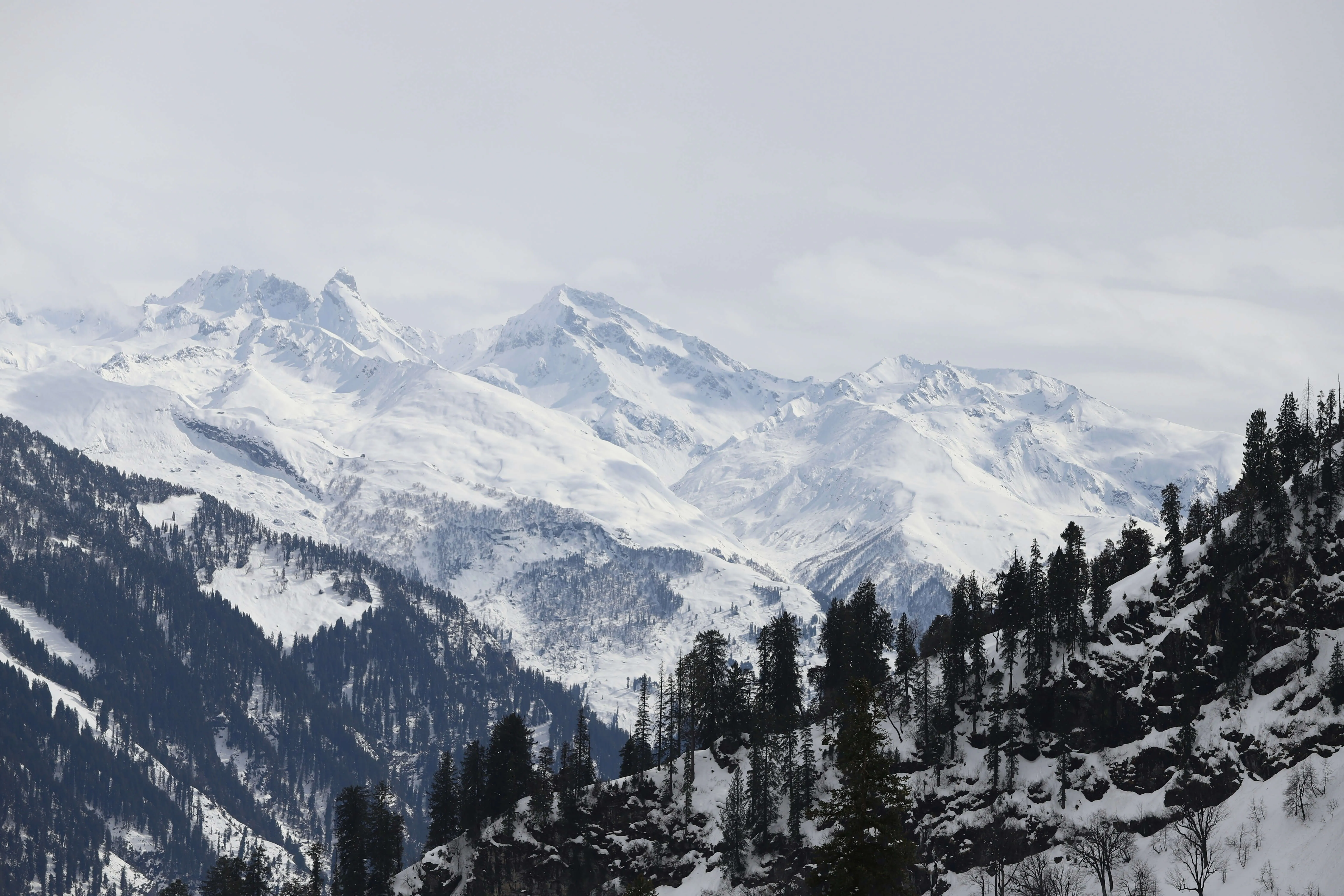 Manali View