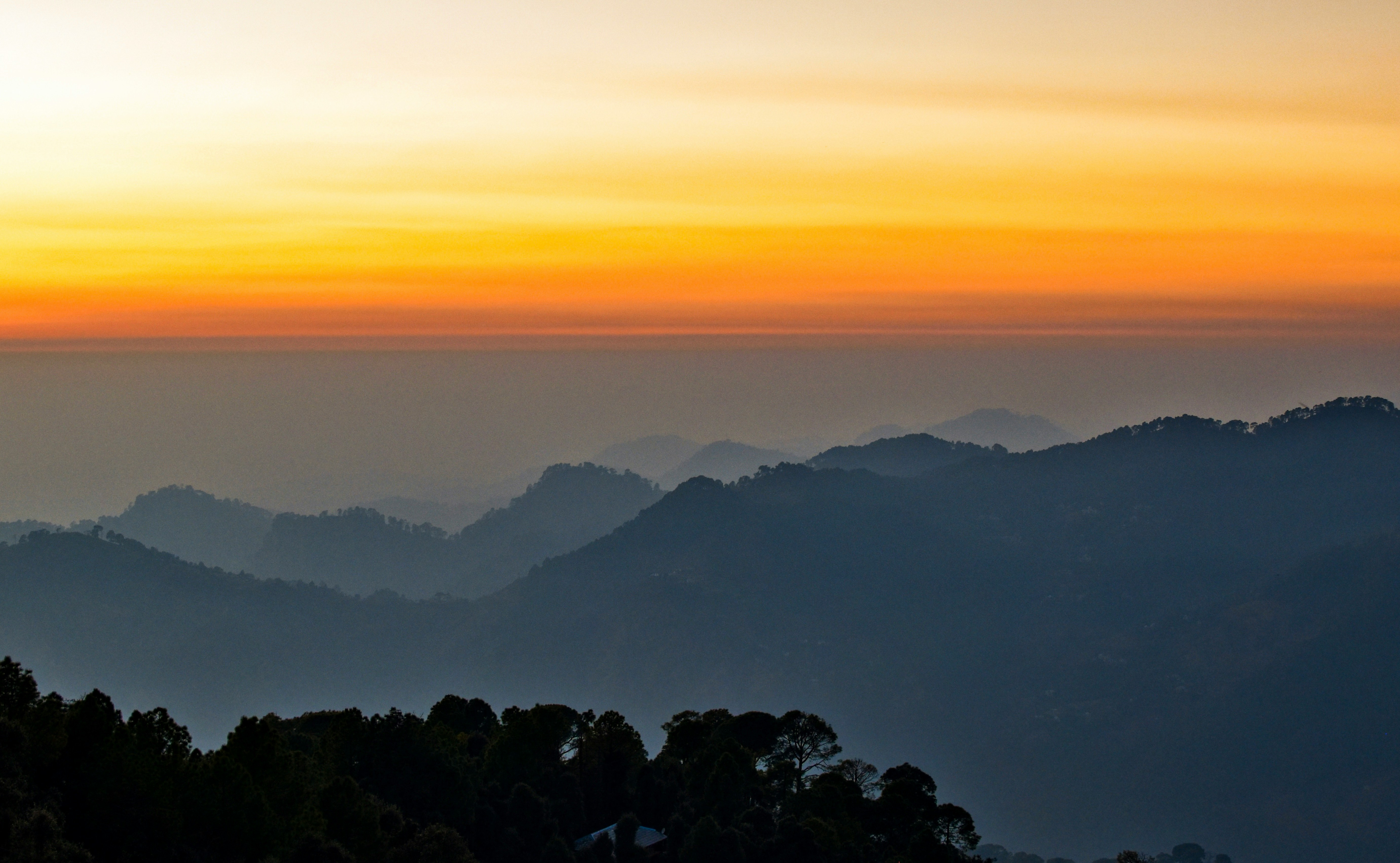 Palampur Tea Gardens