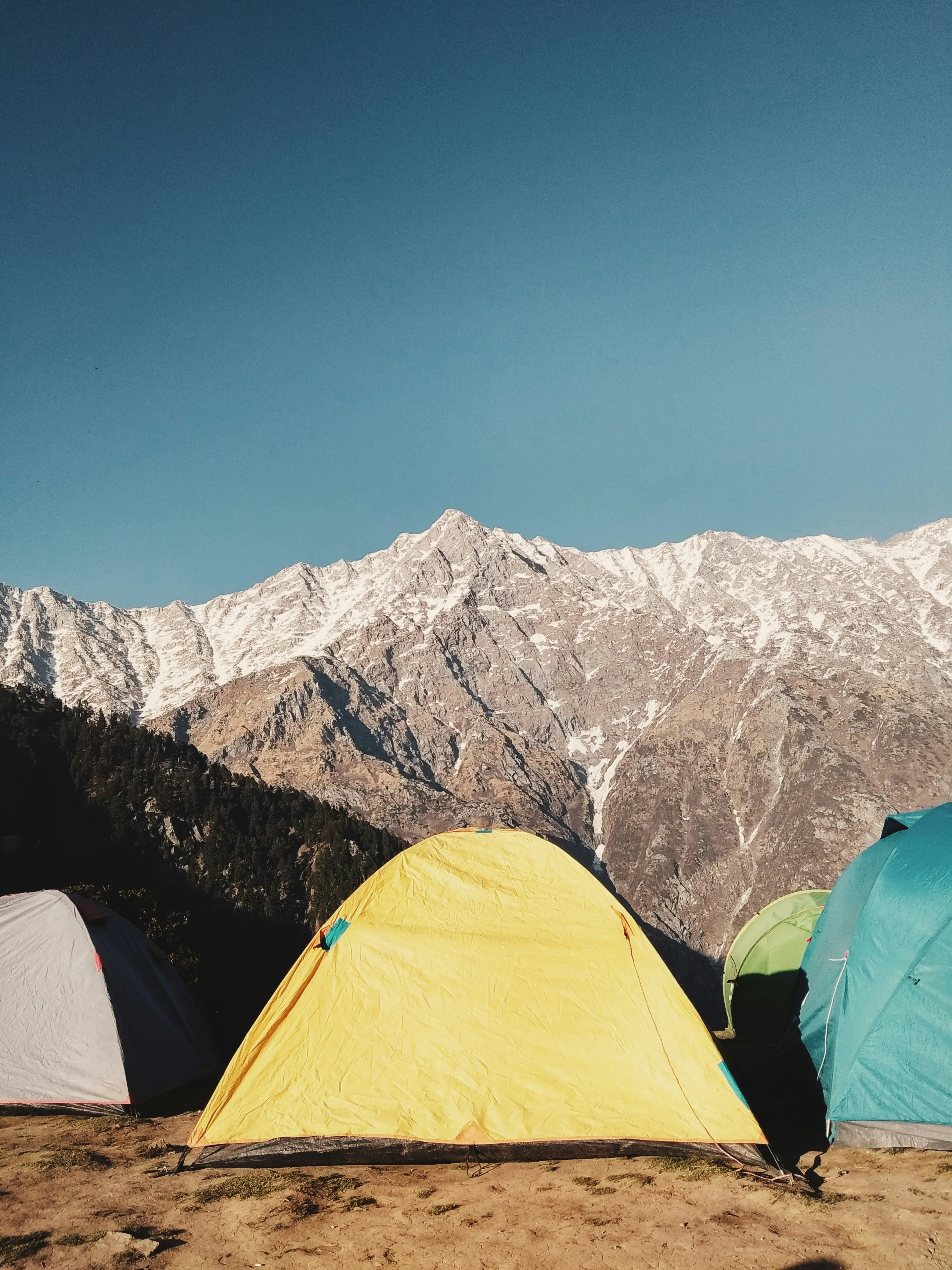 Triund Trek Dharamshala